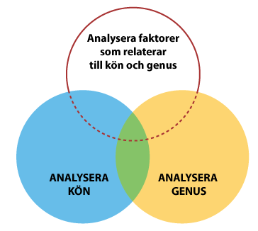 analyzing factors intersecting sex and gender